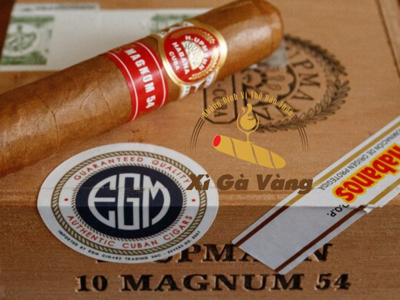 Xì gà H.Upmann khiến anh em say mê trong từng làn khói